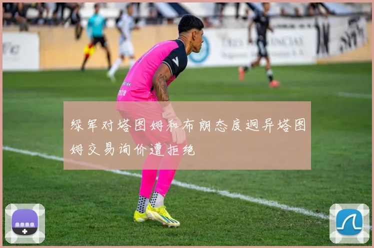 绿军对塔图姆和布朗态度迥异塔图姆交易询价遭拒绝